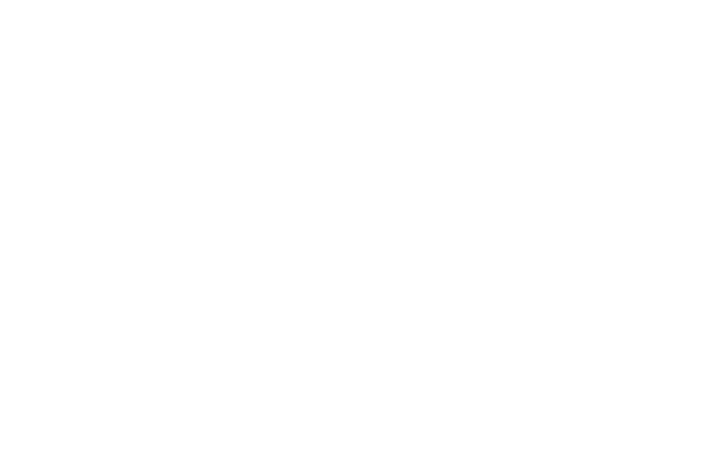 GSG Logo weiss